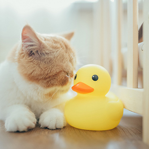 Swimlyra 4-Inch Yellow Rubber Bath Duck Toy for Kids